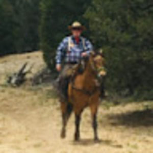 Meet your Posher, Alan